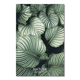 Fresh Green Plant Nordic Poster Multi Combination Canvas Paintings For Living Room Home Decoration Wall Art Pictures No Frame